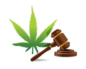 Laws For Florida Medical Marijuana - DrGreen Relief RX