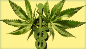 medical marijuana practice dispensary physician
